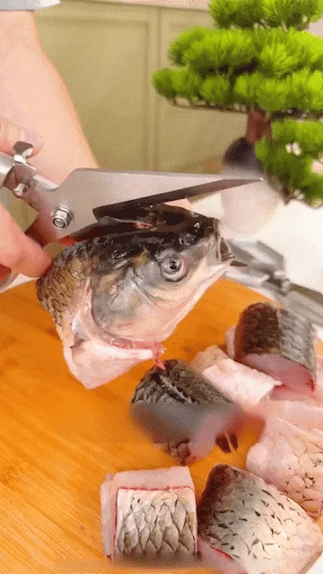 ProCut™ 360 - Professional Kitchen Scissors