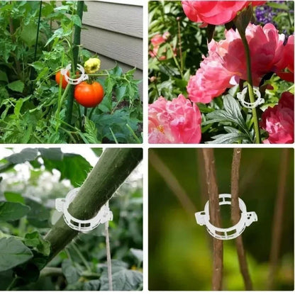 StemLock™ – Industrial-Grade Plant Support Clips