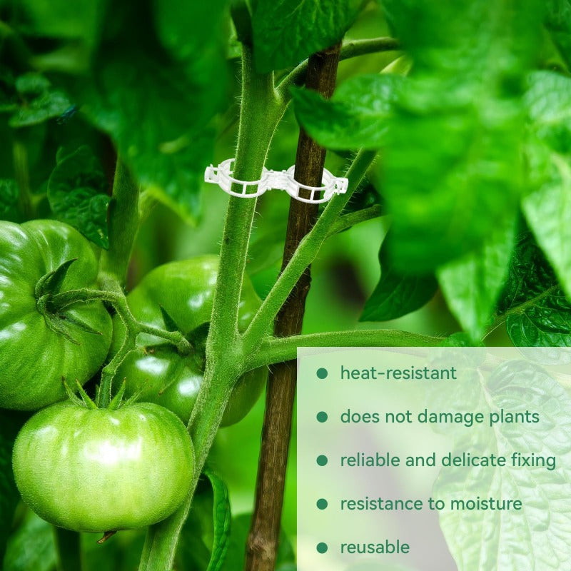 StemLock™ – Industrial-Grade Plant Support Clips