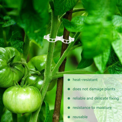 StemLock™ – Industrial-Grade Plant Support Clips